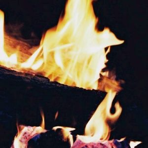 Meet your Posher, Ella